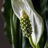 190921-Details-023-2.jpg