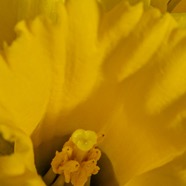 611AAF52-AF06-42C9-9477-D09637D01482.jpeg