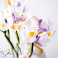 0940F168-844F-42F8-B008-A8159E0DEFDD.jpeg