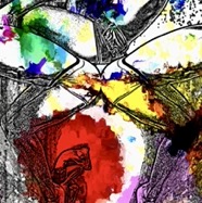 3D5C125F-5FA5-4AF7-B1F5-21134E0DE76A_1_201_a.jpeg