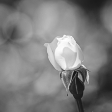 02FB09A5-F082-4D15-A48B-2A80A2758F35.jpeg