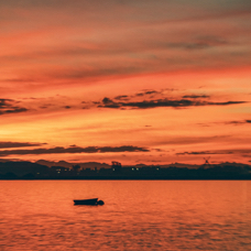 53BF605B-D854-49A2-A6B4-A6A66E40E511_1_201_a.jpeg