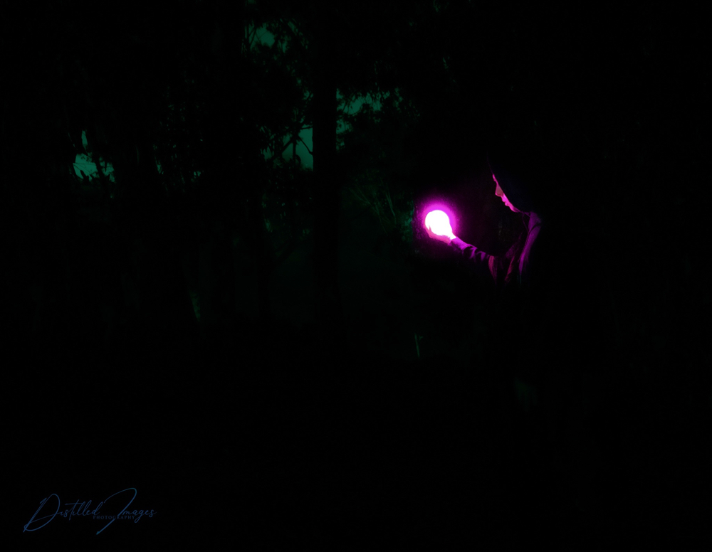 Week 7: Unexplored