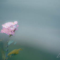 3350906F-71E0-4905-842C-B143DFCBE538_1_201_a.jpeg